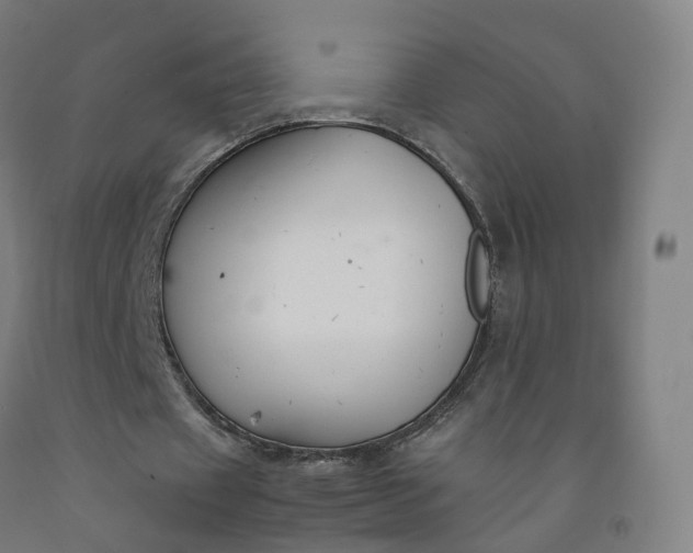 X0000092250433200709281147