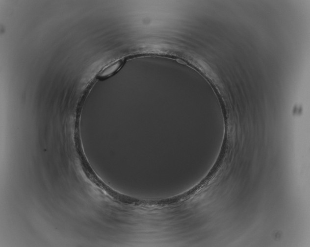 X0000092250434200709281147