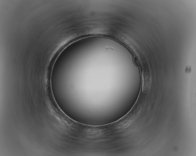 X0000092250435200709281147