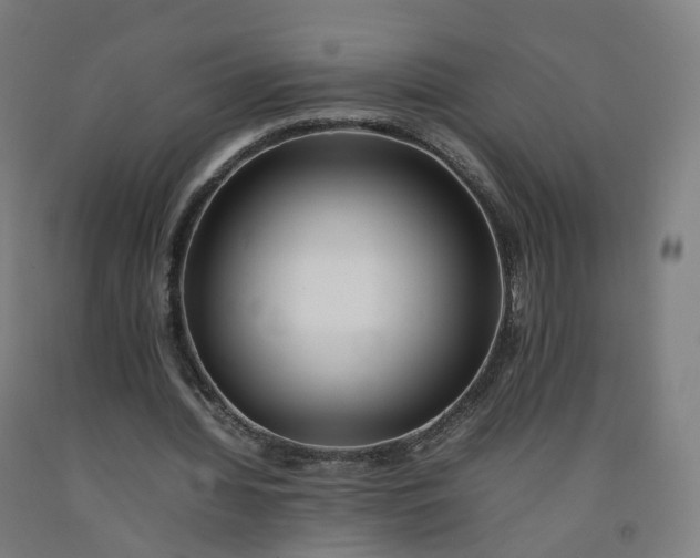 X0000092250436200709281147