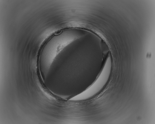 X0000092250438200709281147