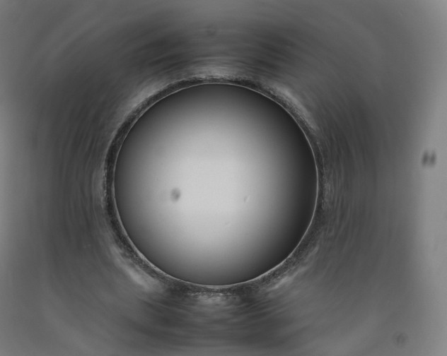 X0000092250439200709281147