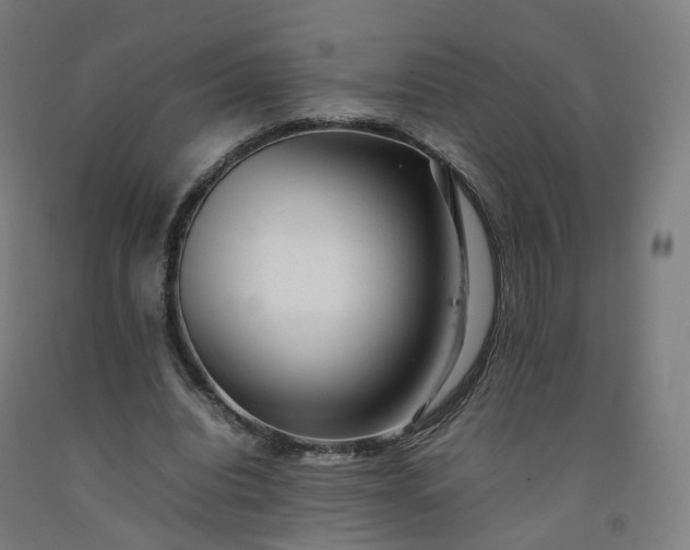 X0000092250440200709281147