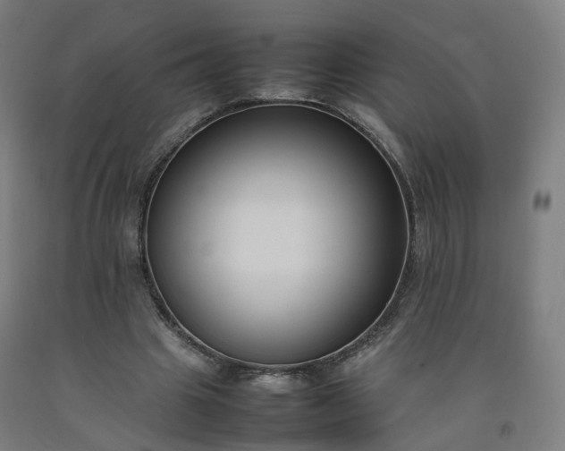 X0000092250441200709281147