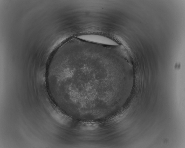 X0000092250443200709281147