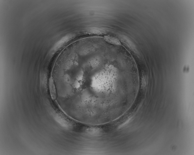 X0000092250444200709281147