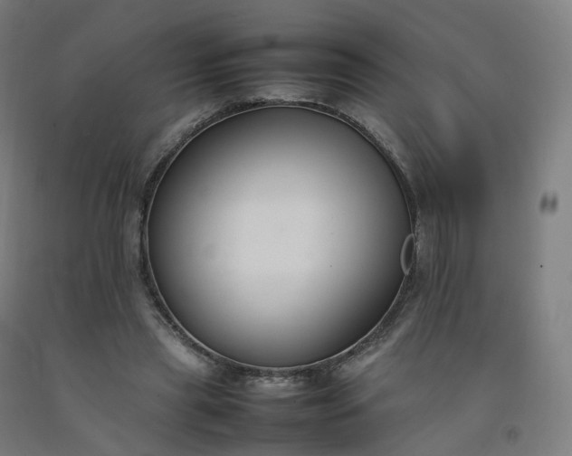 X0000092250445200709281147