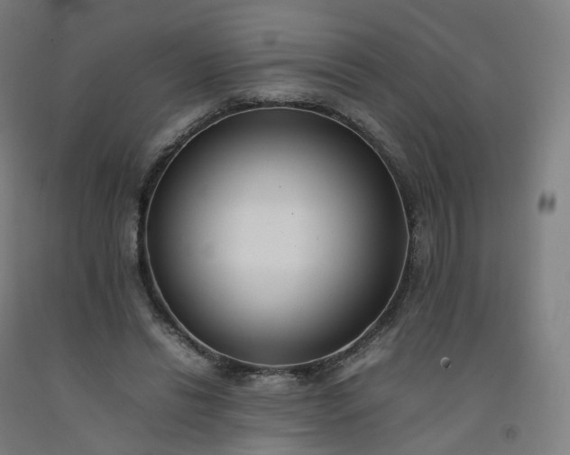 X0000092250446200709281147