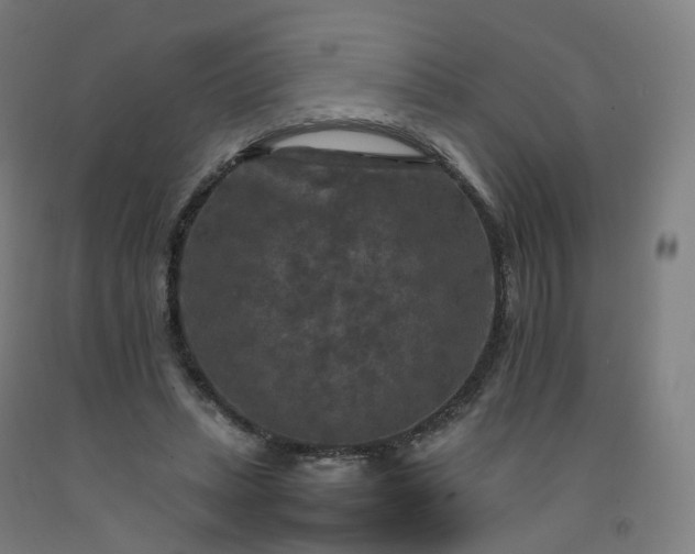 X0000092250447200709281147