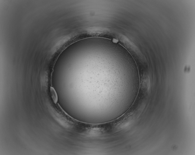 X0000092250448200709281147