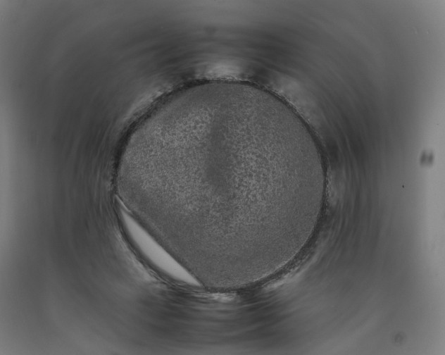 X0000092250449200709281147