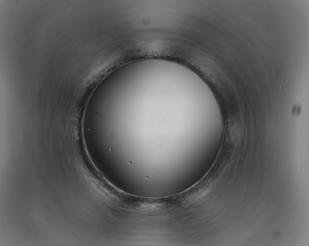 X0000092250450200709281147