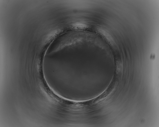 X0000092250451200709281147