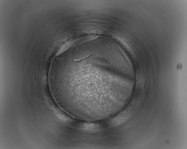 X0000092250453200709281147