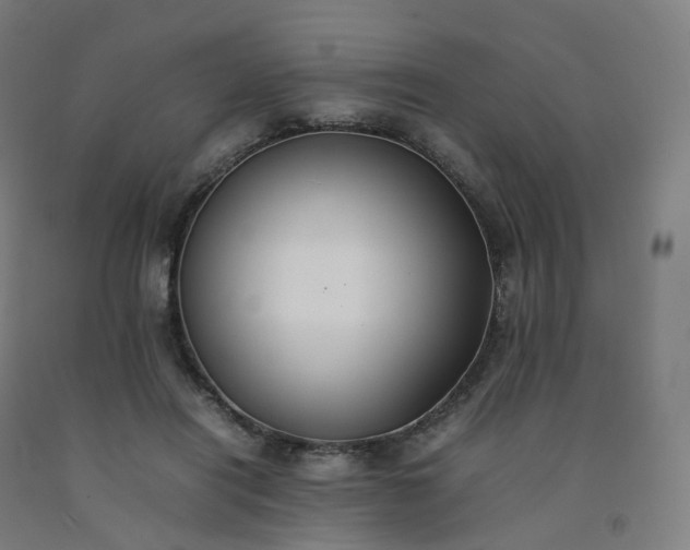 X0000092250454200709281147