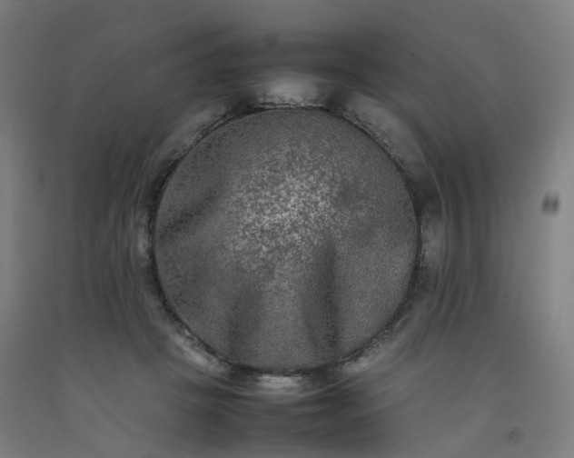 X0000092250457200709281147