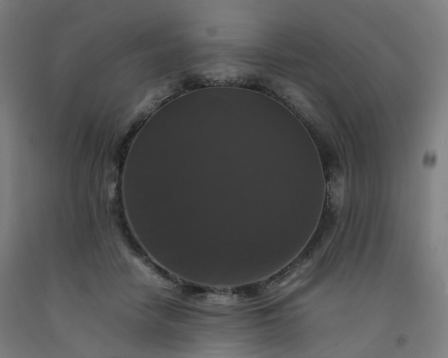 X0000092250458200709281147