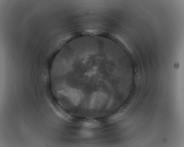 X0000092250459200709281147