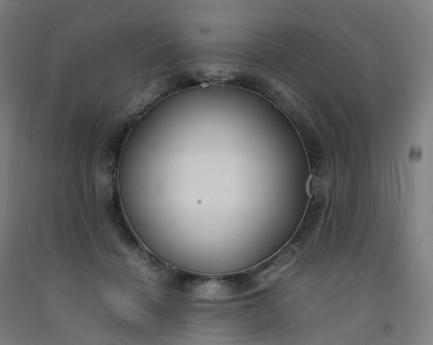 X0000092250460200709281147