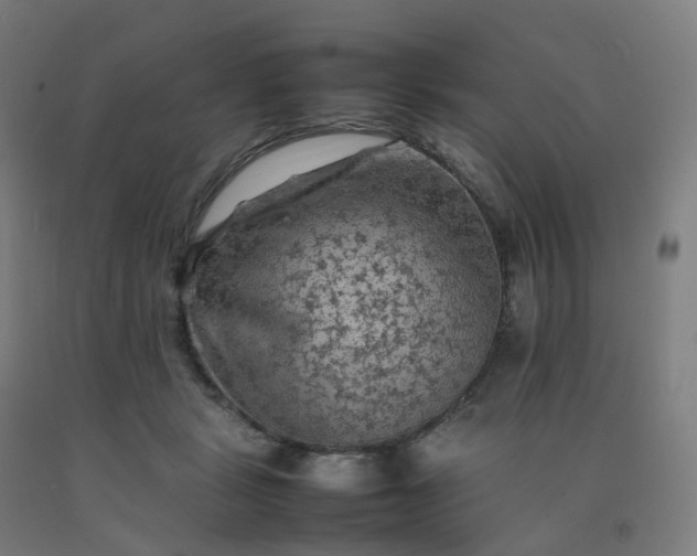 X0000092250461200709281147