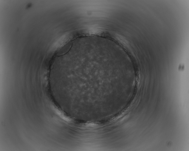 X0000092250462200709281147