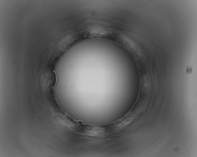 X0000092250463200709281147