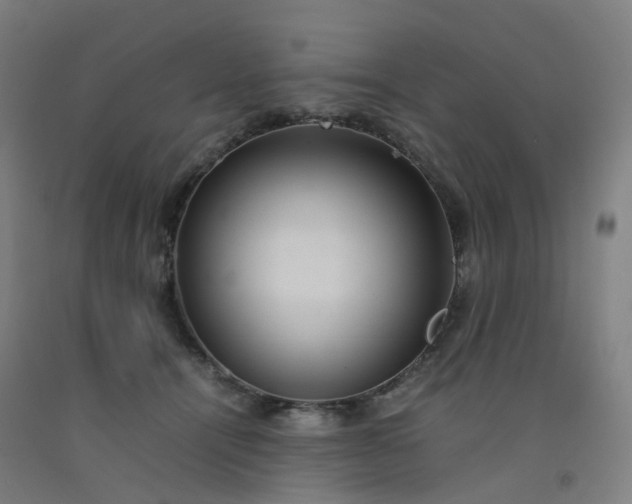 X0000092250464200709281147