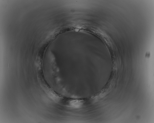 X0000092250465200709281147