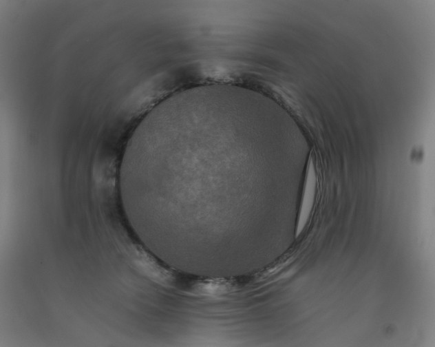 X0000092250466200709281147