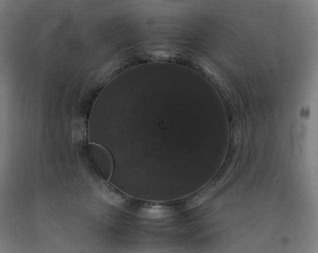 X0000092250467200709281147