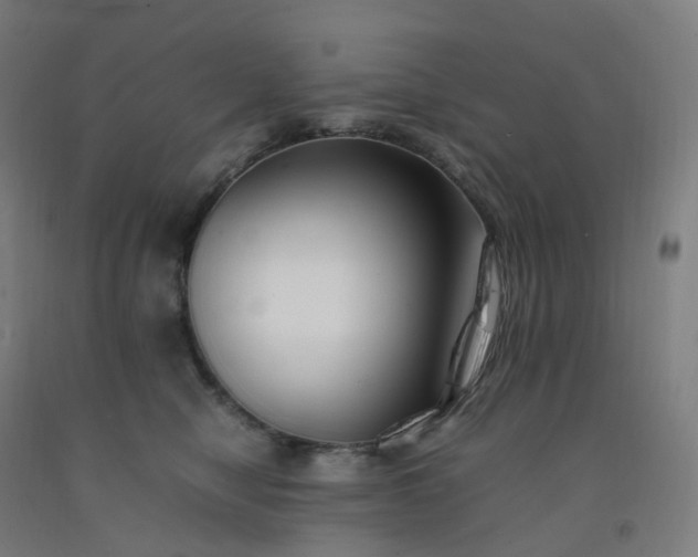 X0000092250470200709281147