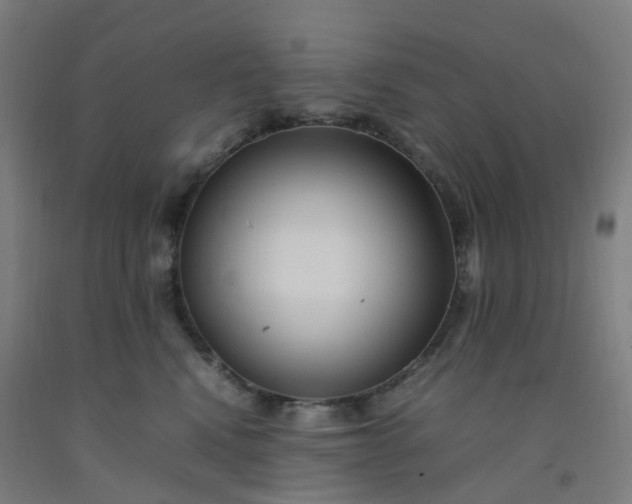 X0000092250472200709281147