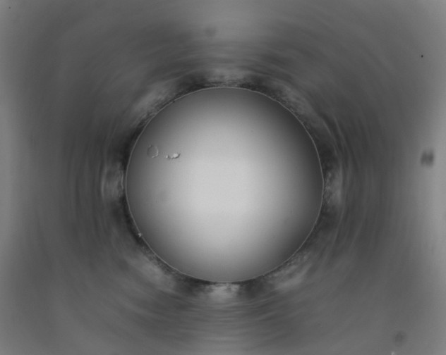 X0000092250474200709281147