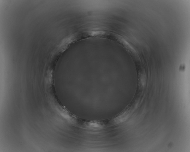 X0000092250475200709281147