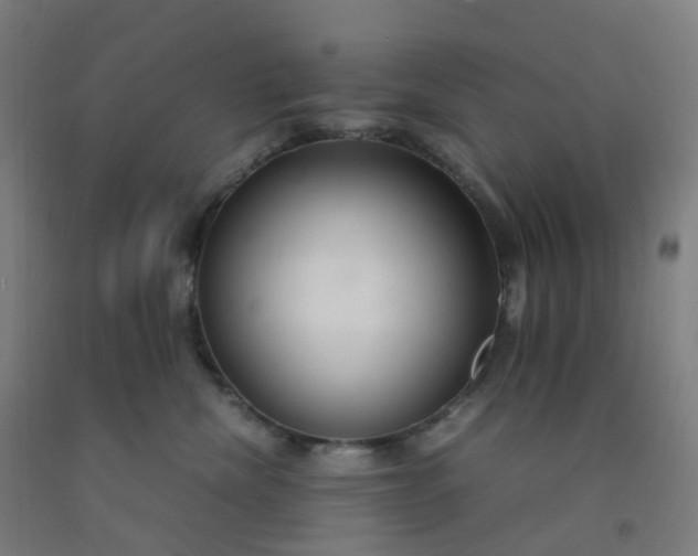 X0000092250476200709281147