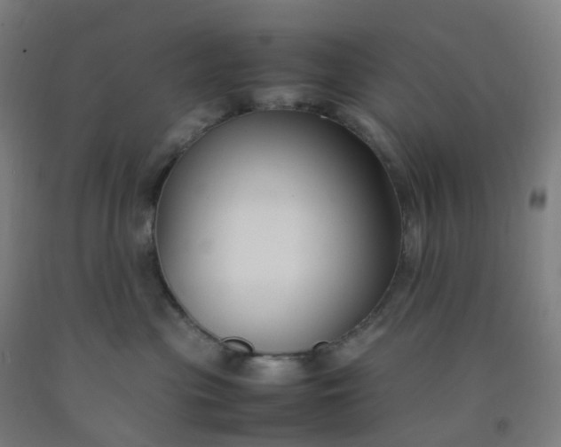 X0000092250477200709281147