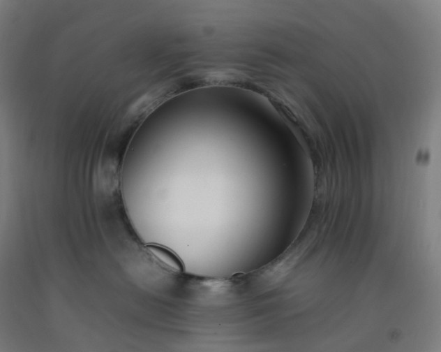 X0000092250478200709281147