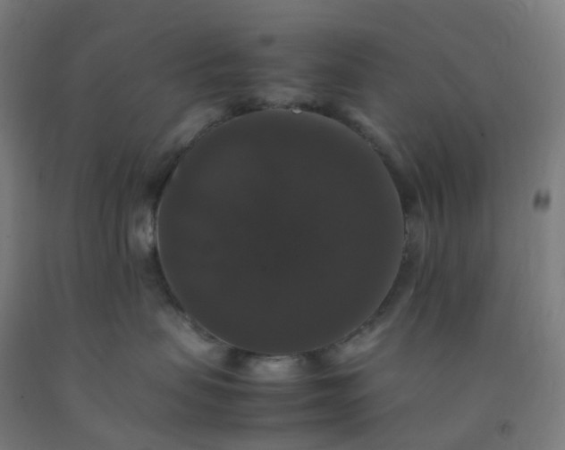 X0000092250479200709281147