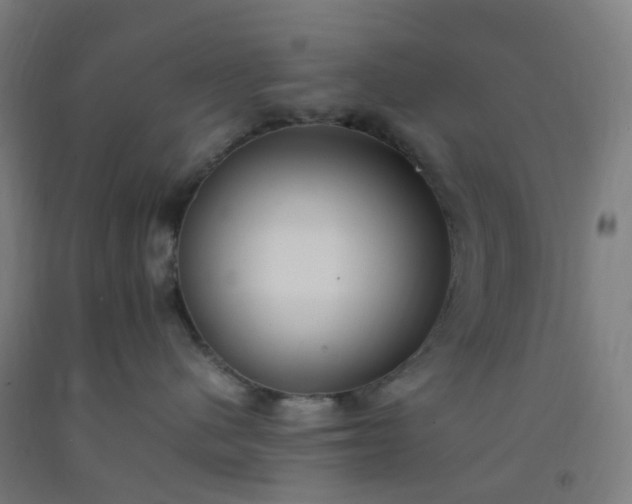 X0000092250480200709281147