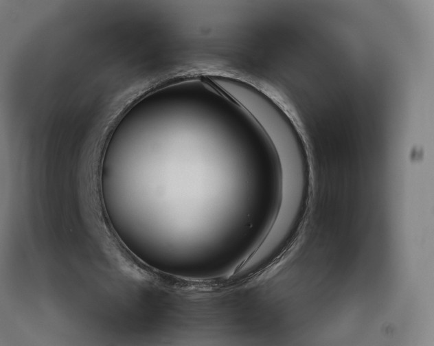 X0000092250481200709281147