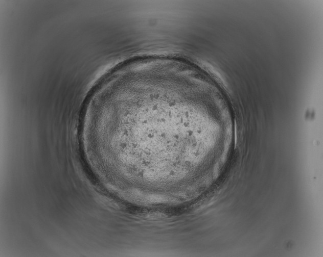 X0000092250483200709281147