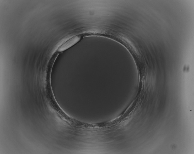 X0000092250484200709281147