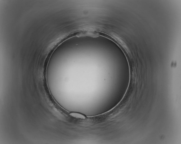 X0000092250485200709281147