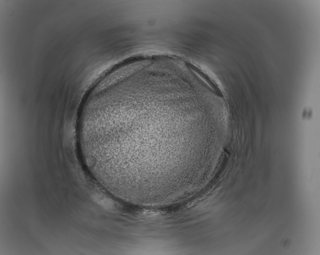 X0000092250487200709281147