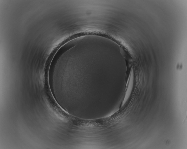 X0000092250488200709281147