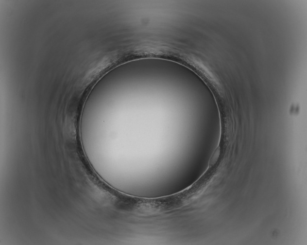 X0000092250489200709281147