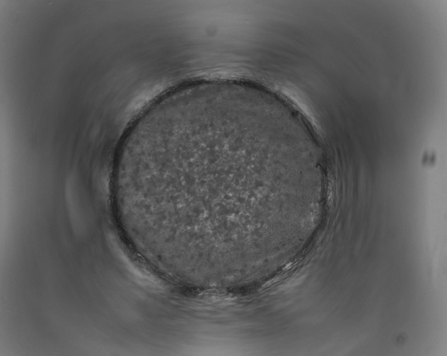 X0000092250491200709281147