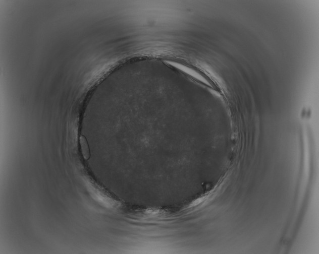 X0000092250493200709281147