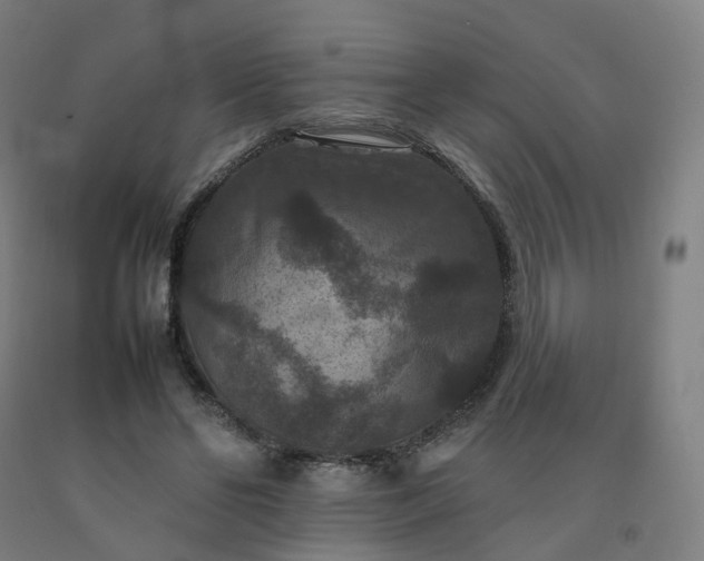 X0000092250494200709281147