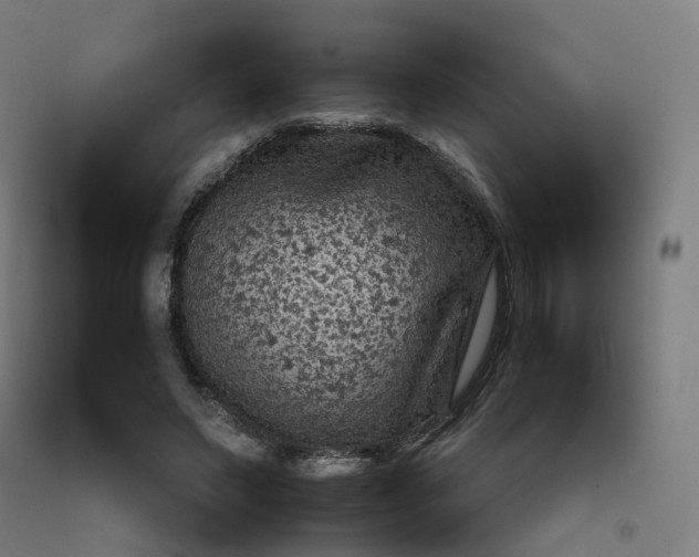 X0000092250495200709281147